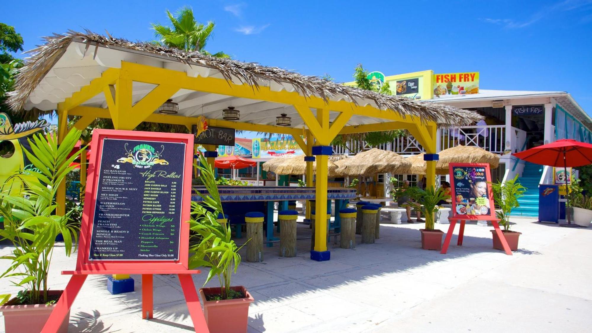 Downtown Oasis Unit 1 Apartment Nassau